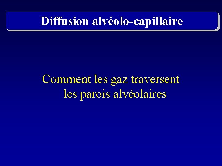 Diffusion alvéolo-capillaire Comment les gaz traversent les parois alvéolaires 