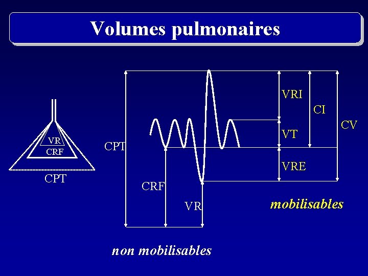 Volumes pulmonaires VRI CI VR CRF CPT VT CPT CV VRE CRF VR non