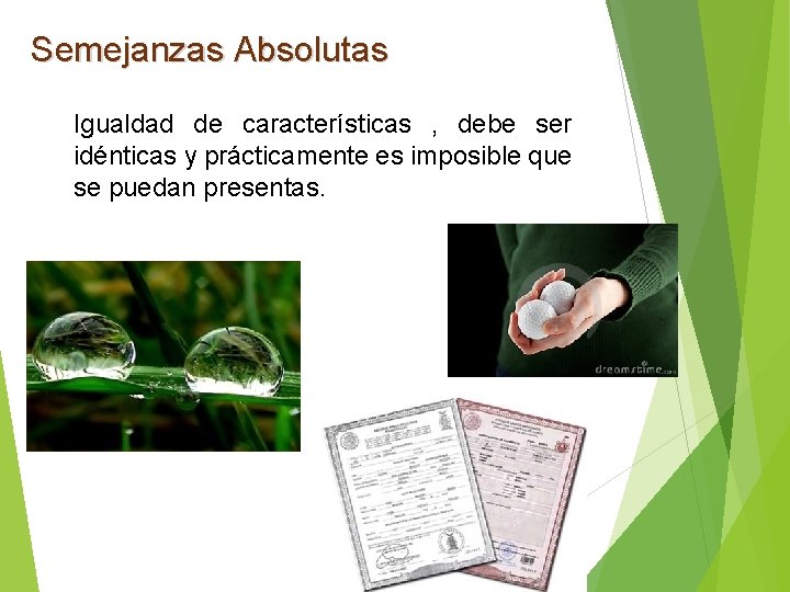 Semejanzas Absolutas Igualdad de características , debe ser idénticas y prácticamente es imposible que