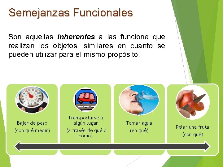 Semejanzas Funcionales Son aquellas inherentes a las funcione que realizan los objetos, similares en