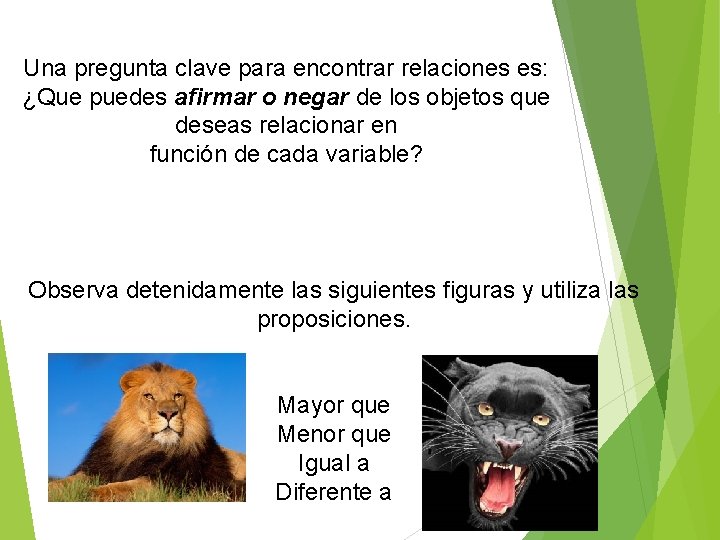 Una pregunta clave para encontrar relaciones es: ¿Que puedes afirmar o negar de los