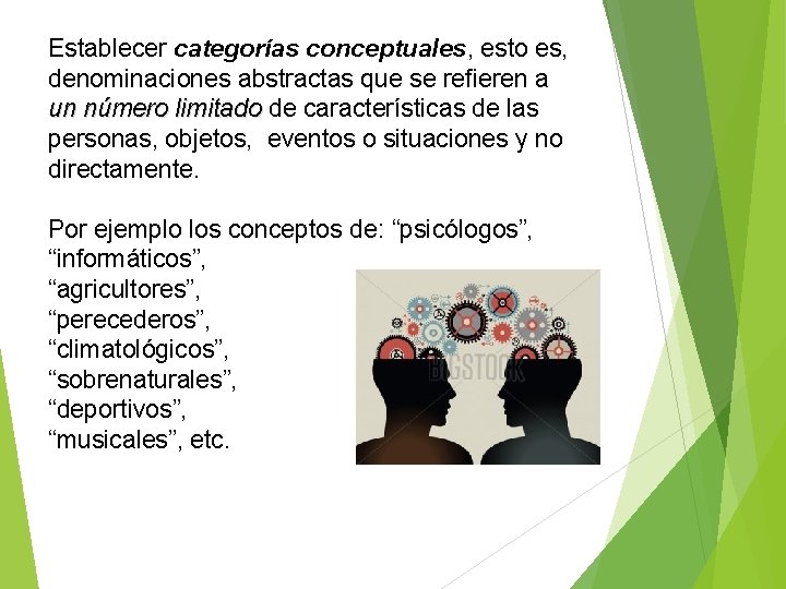 Establecer categorías conceptuales, esto es, denominaciones abstractas que se refieren a un número limitado