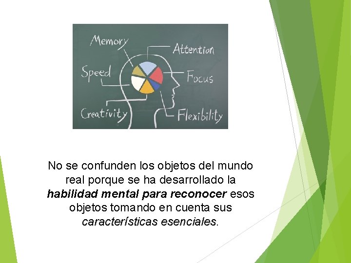 No se confunden los objetos del mundo real porque se ha desarrollado la habilidad