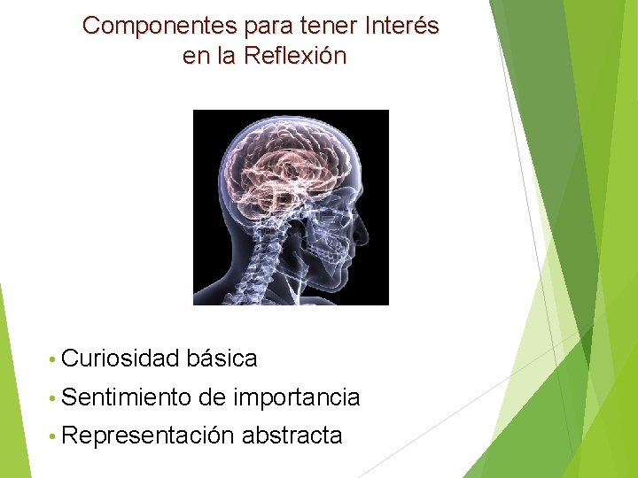 Componentes para tener Interés en la Reflexión • Curiosidad básica • Sentimiento de importancia