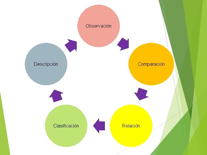 Observación Descripción Clasificación Comparación Relación 