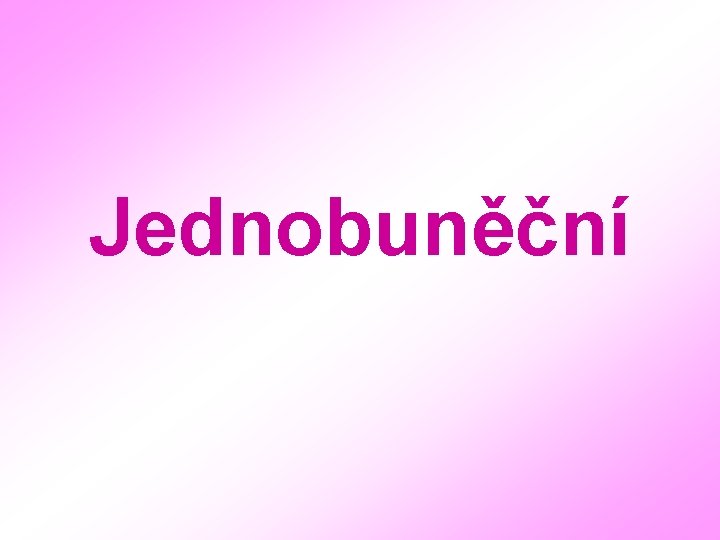 Jednobuněční 