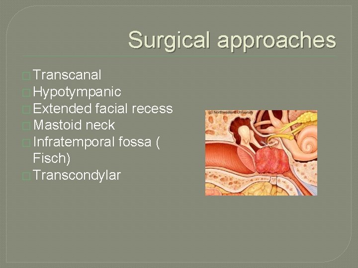 Surgical approaches � Transcanal � Hypotympanic � Extended facial recess � Mastoid neck �