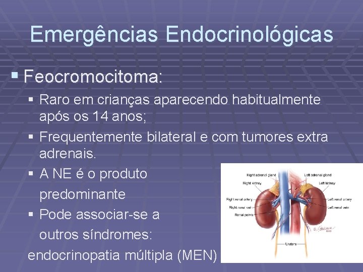 Emergências Endocrinológicas § Feocromocitoma: § Raro em crianças aparecendo habitualmente após os 14 anos;