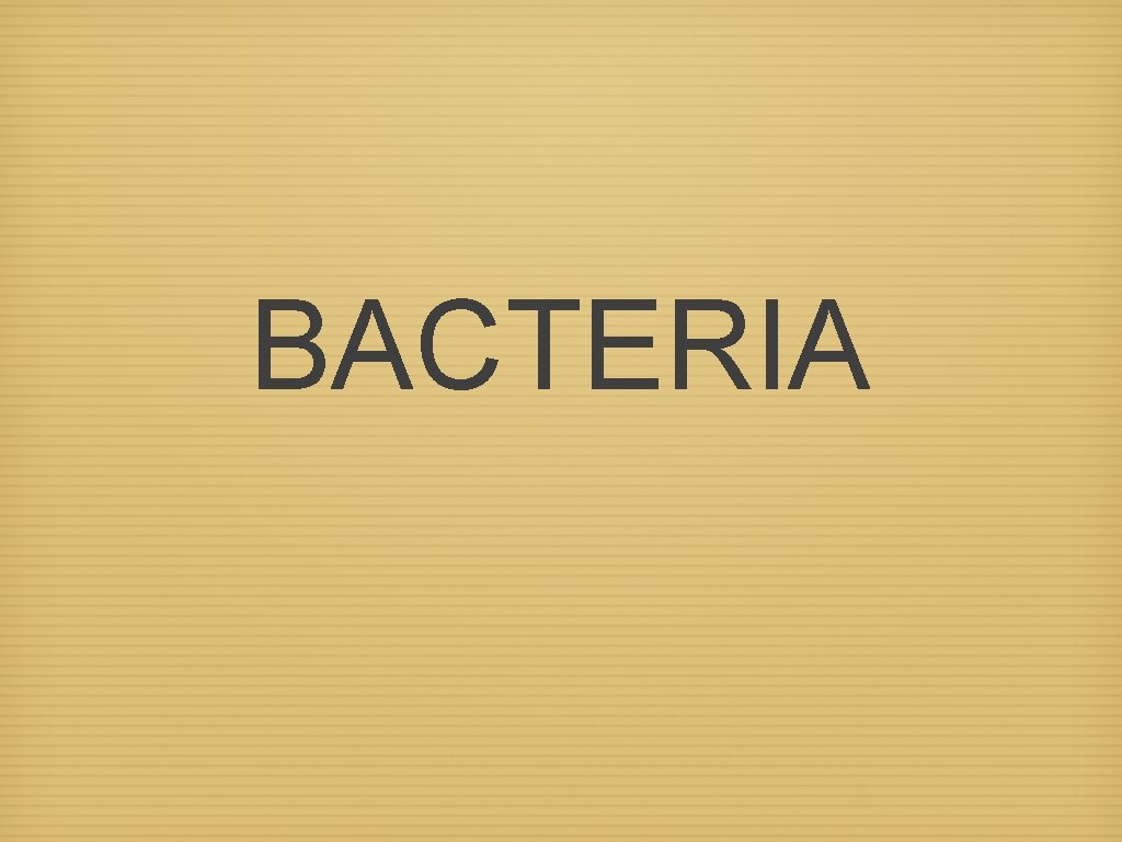 BACTERIA 