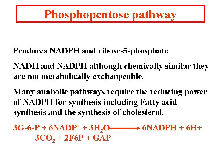 Phosphopentose pathway Produces NADPH and ribose-5 -phosphate NADH and NADPH although chemically similar they