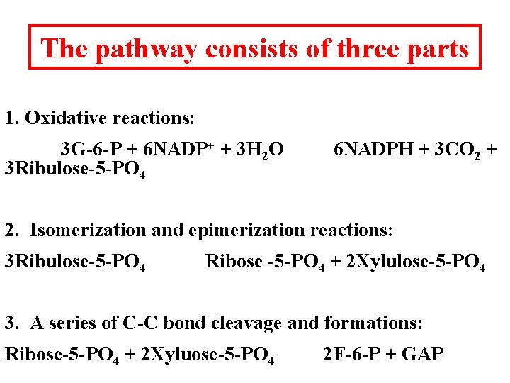 The pathway consists of three parts 1. Oxidative reactions: 3 G-6 -P + 6