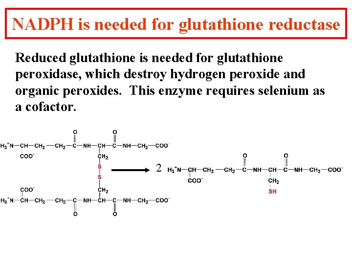 NADPH is needed for glutathione reductase Reduced glutathione is needed for glutathione peroxidase, which