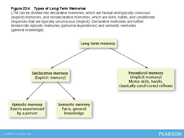 Figure 23. 4 Types of Long-Term Memories LTM can be divided into declarative memories, Figure 23. 4 Types of Long-Term Memories LTM can be divided into declarative memories,