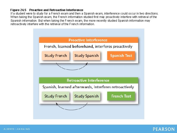 Figure 24. 5 Proactive and Retroactive Interference If a student were to study for Figure 24. 5 Proactive and Retroactive Interference If a student were to study for
