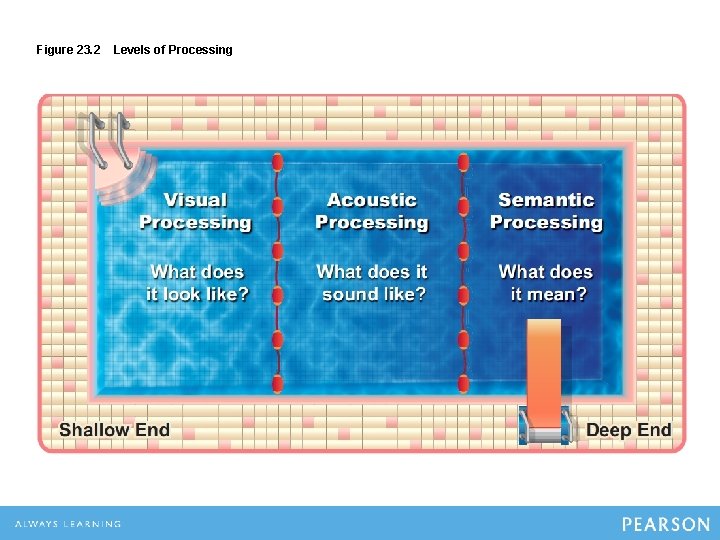 Figure 23. 2 Levels of Processing Figure 23. 2 Levels of Processing