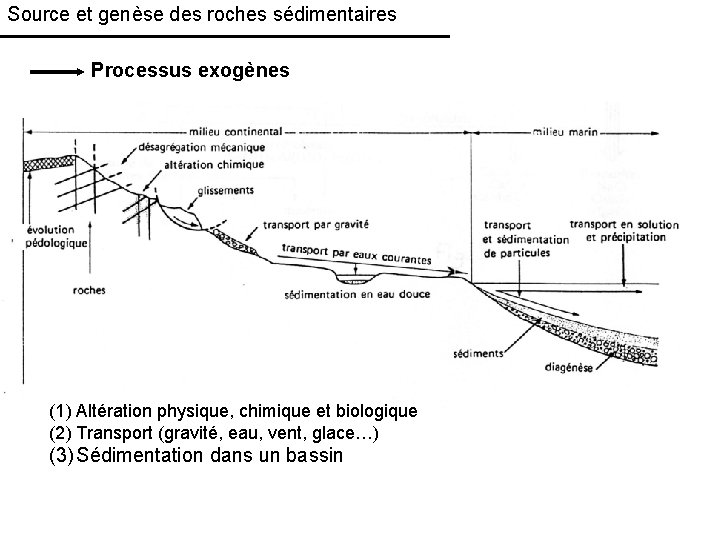 Source et genèse des roches sédimentaires Processus exogènes (1) Altération physique, chimique et biologique