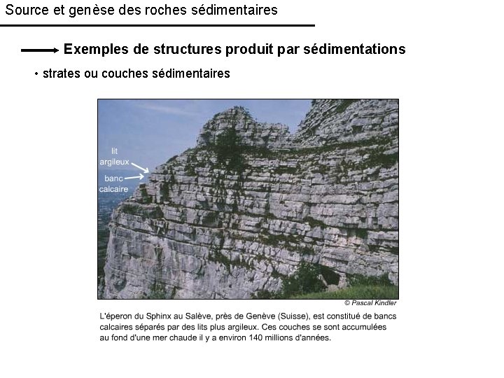 Source et genèse des roches sédimentaires Exemples de structures produit par sédimentations • strates