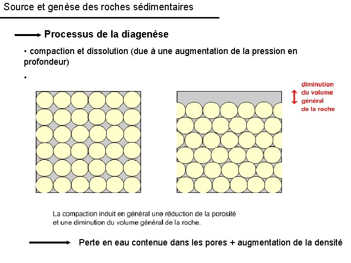 Source et genèse des roches sédimentaires Processus de la diagenèse • compaction et dissolution