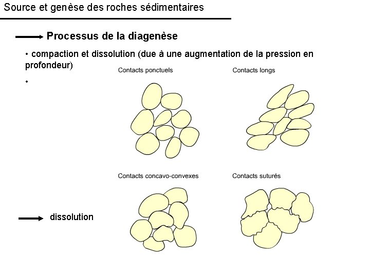 Source et genèse des roches sédimentaires Processus de la diagenèse • compaction et dissolution