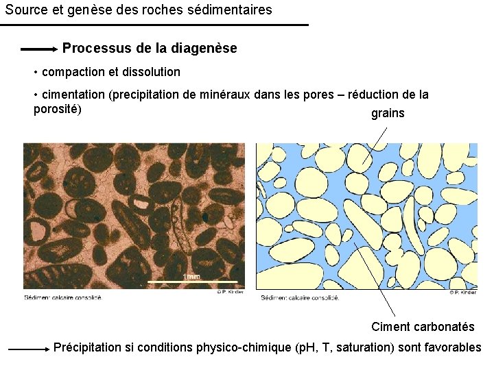 Source et genèse des roches sédimentaires Processus de la diagenèse • compaction et dissolution