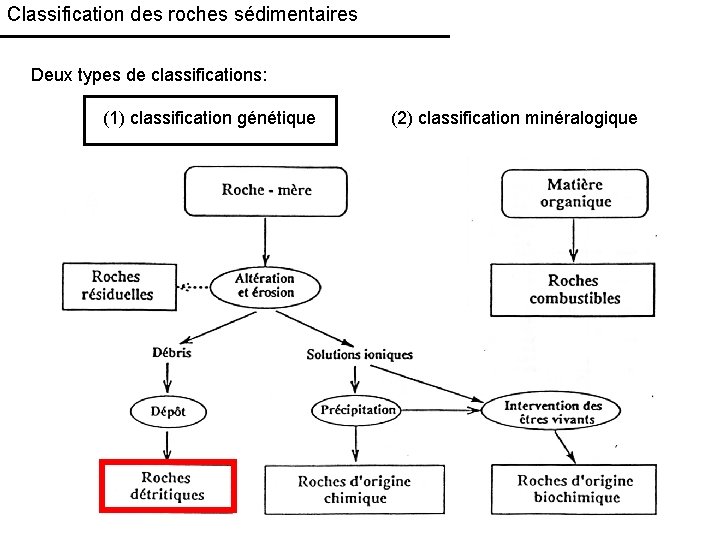 Classification des roches sédimentaires Deux types de classifications: (1) classification génétique (2) classification minéralogique