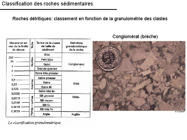 Classification des roches sédimentaires Roches détritiques: classement en fonction de la granulométrie des clastes