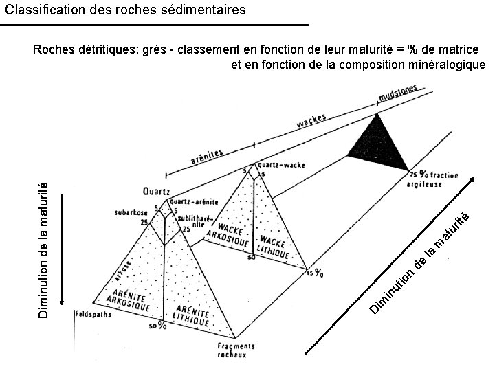 Classification des roches sédimentaires ité ur at m la de n io ut in
