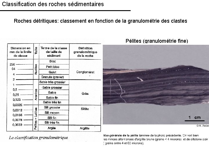 Classification des roches sédimentaires Roches détritiques: classement en fonction de la granulométrie des clastes
