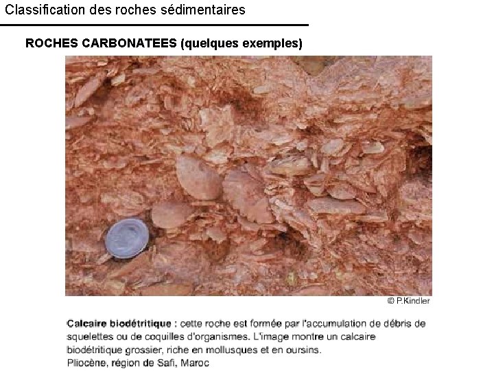 Classification des roches sédimentaires ROCHES CARBONATEES (quelques exemples) 