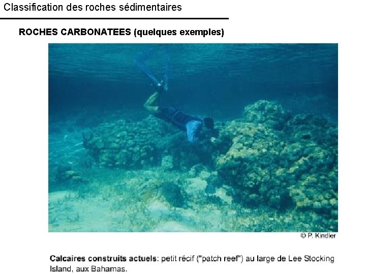 Classification des roches sédimentaires ROCHES CARBONATEES (quelques exemples) 