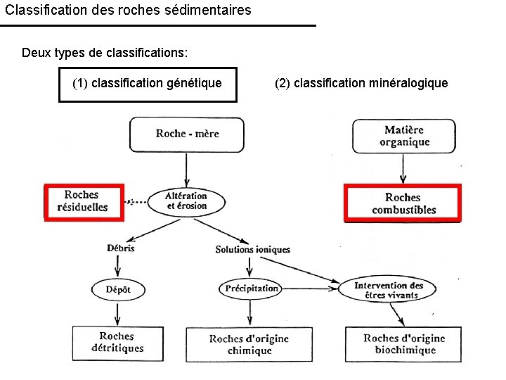 Classification des roches sédimentaires Deux types de classifications: (1) classification génétique (2) classification minéralogique