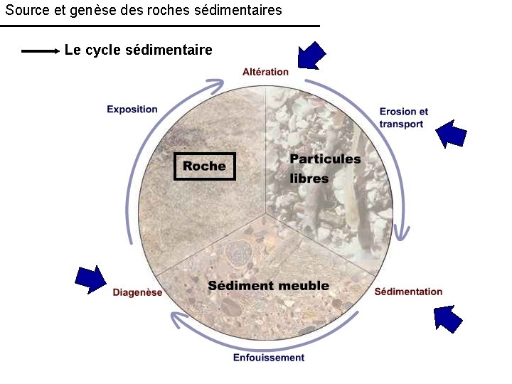 Source et genèse des roches sédimentaires Le cycle sédimentaire 
