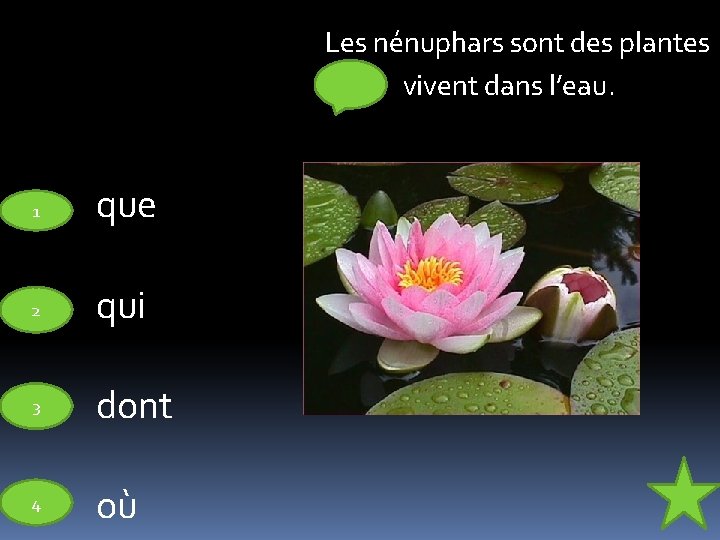 Les nénuphars sont des plantes vivent dans l’eau. 1 que 2 qui 3 dont