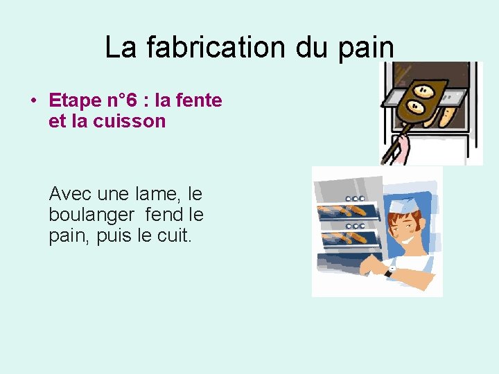 La fabrication du pain • Etape n° 6 : la fente et la cuisson