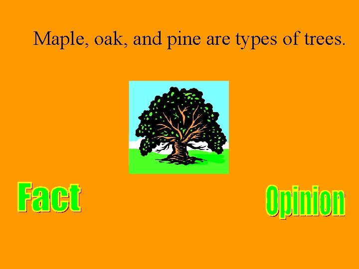 Maple, oak, and pine are types of trees. 