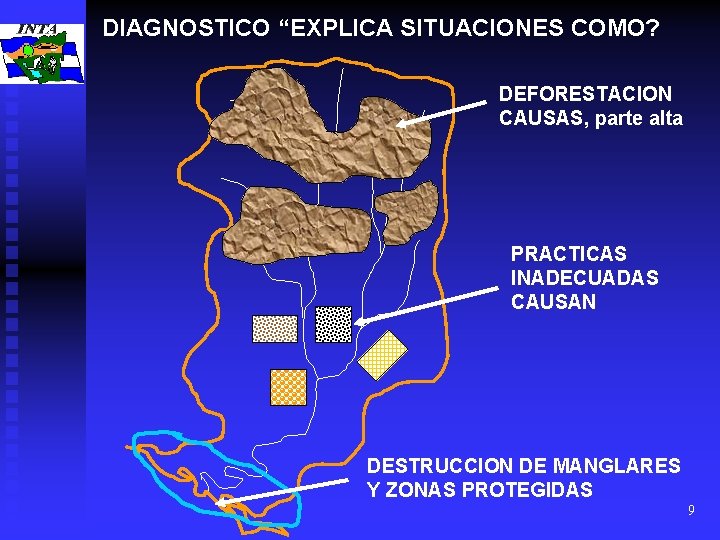 DIAGNOSTICO “EXPLICA SITUACIONES COMO? DEFORESTACION CAUSAS, parte alta PRACTICAS INADECUADAS CAUSAN DESTRUCCION DE MANGLARES