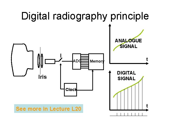 Digital radiography principle ANALOGUE SIGNAL I ADC t Memory DIGITAL SIGNAL Iris Clock See Digital radiography principle ANALOGUE SIGNAL I ADC t Memory DIGITAL SIGNAL Iris Clock See