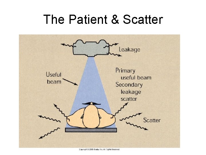 The Patient & Scatter The Patient & Scatter
