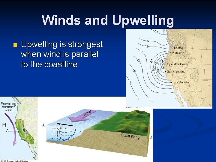 Winds and Upwelling n Upwelling is strongest when wind is parallel to the coastline