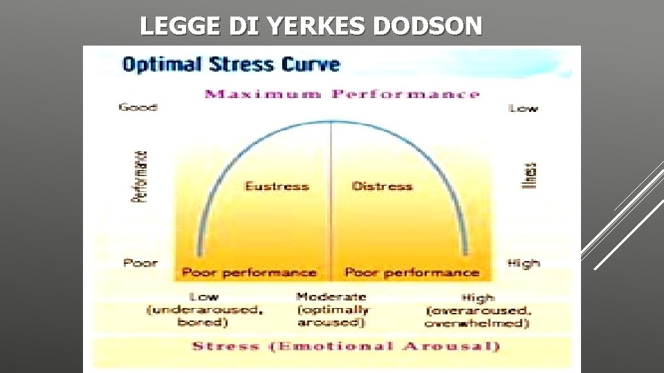 LEGGE DI YERKES DODSON 