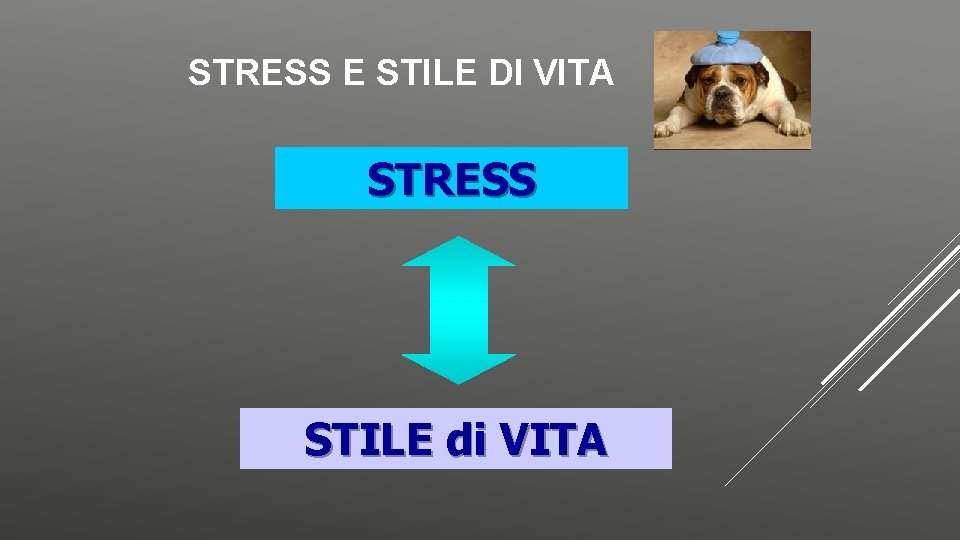 STRESS E STILE DI VITA STRESS STILE di VITA 