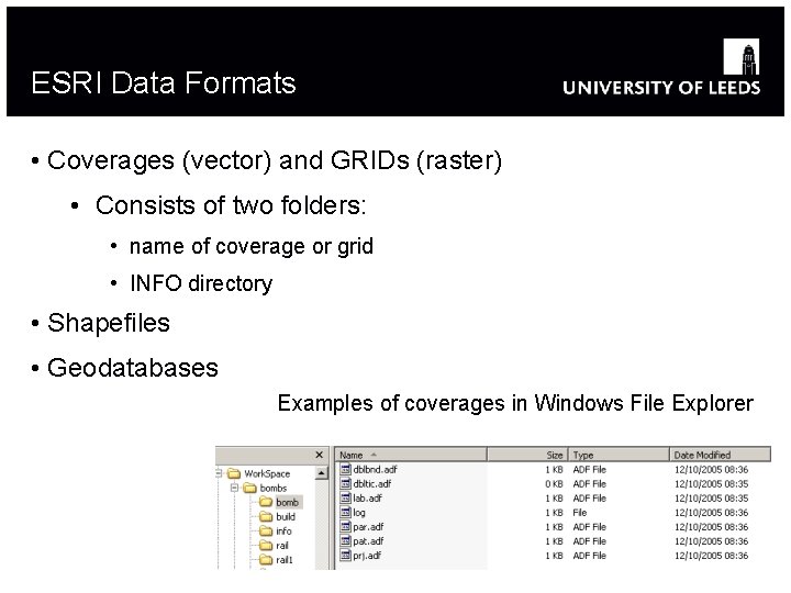 ESRI Data Formats • Coverages (vector) and GRIDs (raster) • Consists of two folders: