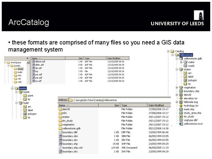 Arc. Catalog • these formats are comprised of many files so you need a