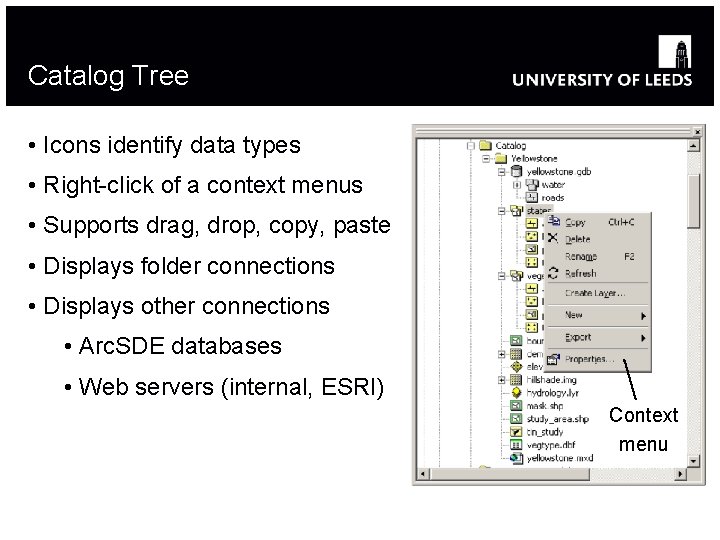 Catalog Tree • Icons identify data types • Right-click of a context menus •