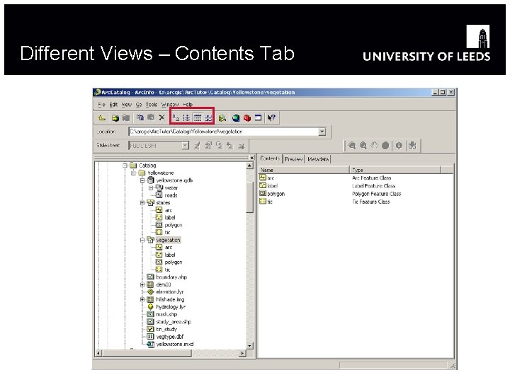 Different Views – Contents Tab 