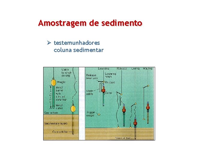 Amostragem de sedimento Ø testemunhadores coluna sedimentar 