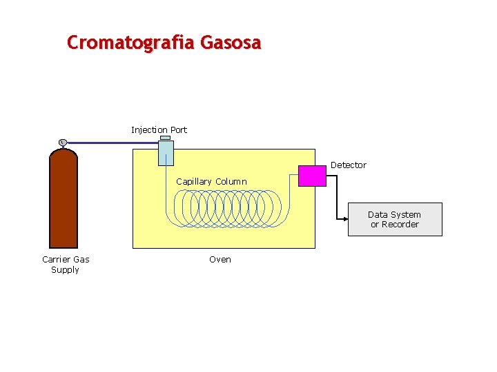 Cromatografia Gasosa Injection Port Detector Capillary Column Data System or Recorder Carrier Gas Supply