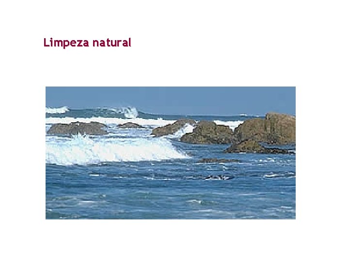 Limpeza natural 