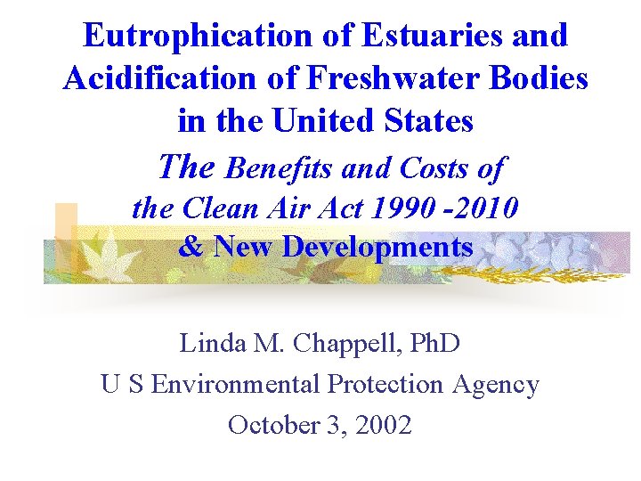 Eutrophication of Estuaries and Acidification of Freshwater Bodies in the United States The Benefits