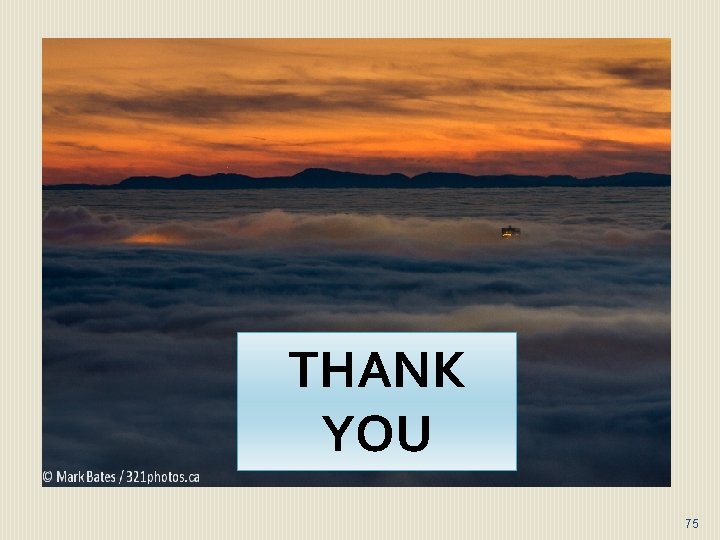 THANK YOU 75 